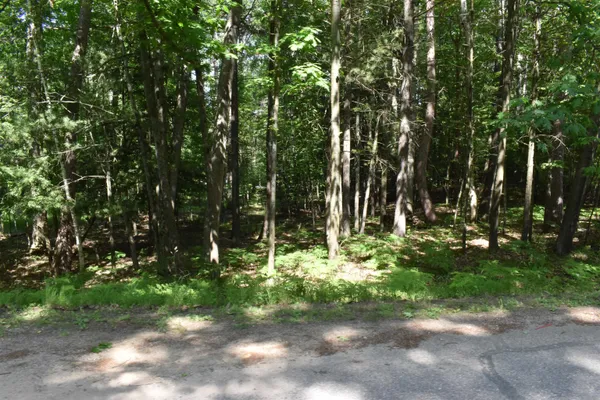 $6,500 | Lot 196 Princess Way, Gladwin, MI 48624