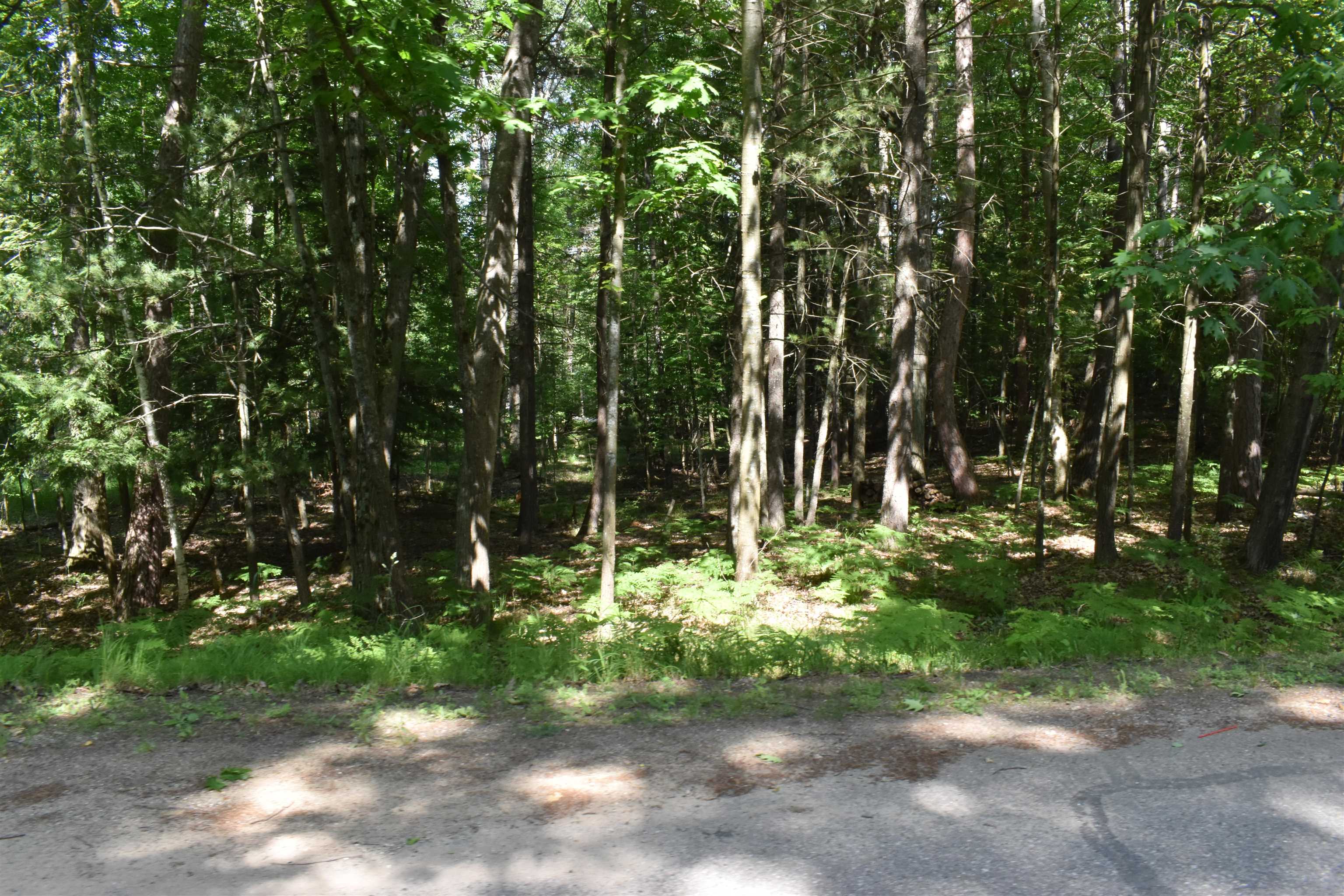 Lot 196 Princess Way Gladwin, MI 48624 - Photo 1 of 12