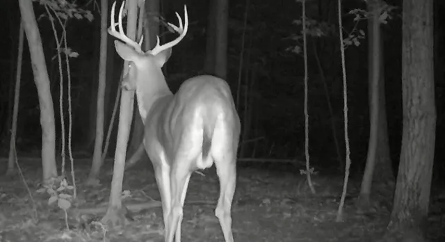 $374,900 | 0 South Pittsford Road, Pittsford, MI 49271