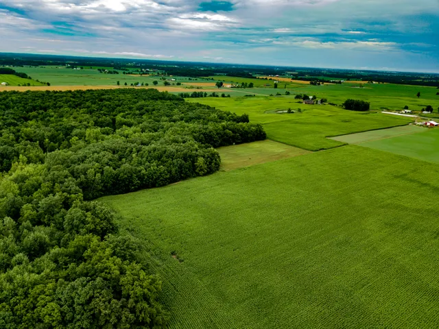 $374,900 | 0 South Pittsford Road, Pittsford, MI 49271