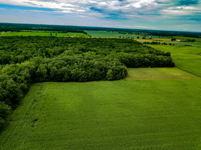 $374,900 | 0 South Pittsford Road, Pittsford, MI 49271