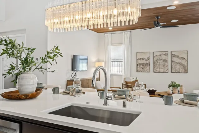 a kitchen with a sink and a potted plant