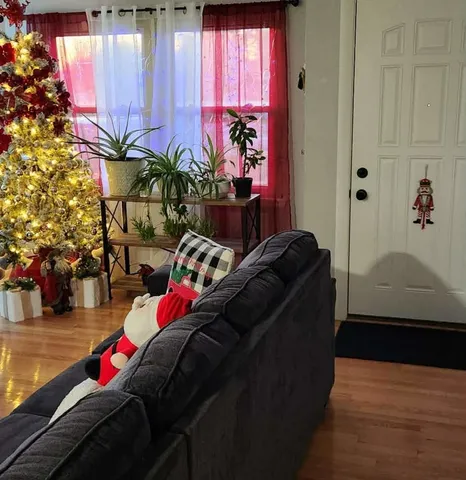 a living room with furniture and a potted plant