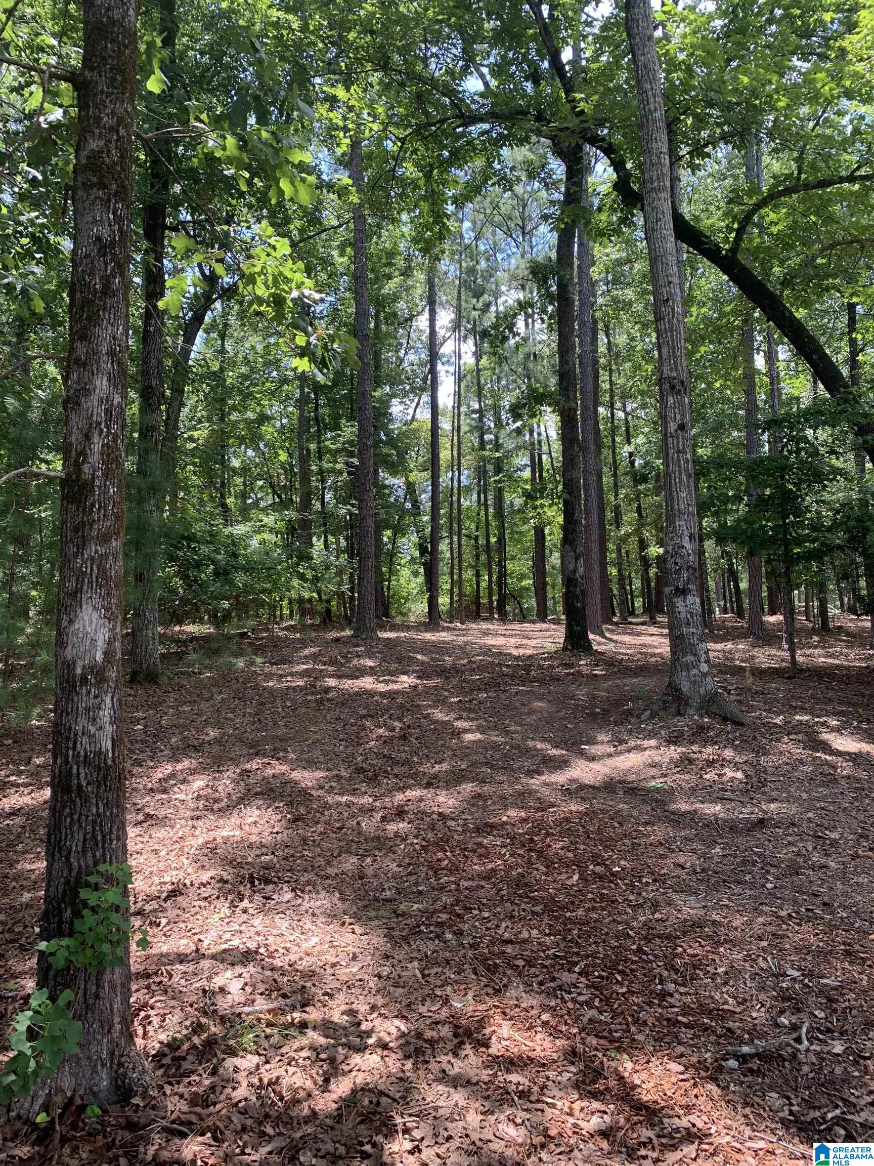 Windy Way, Unit 49 Alexander City, AL 35010 - Photo 15 of 17
