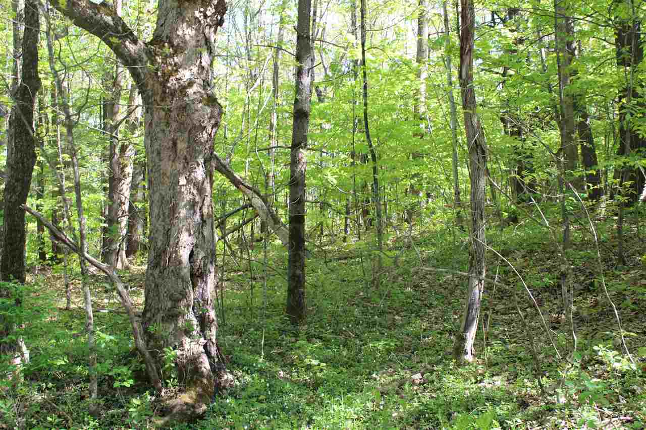 0 Bragg Hill Road Norwich, VT 05055 - Photo 2 of 13 Gallery Image 2