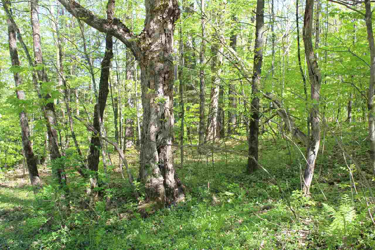 0 Bragg Hill Road Norwich, VT 05055 - Photo 5 of 13 Gallery Image 5