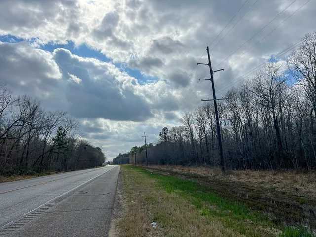 a view of a yard with plants and wooden fence