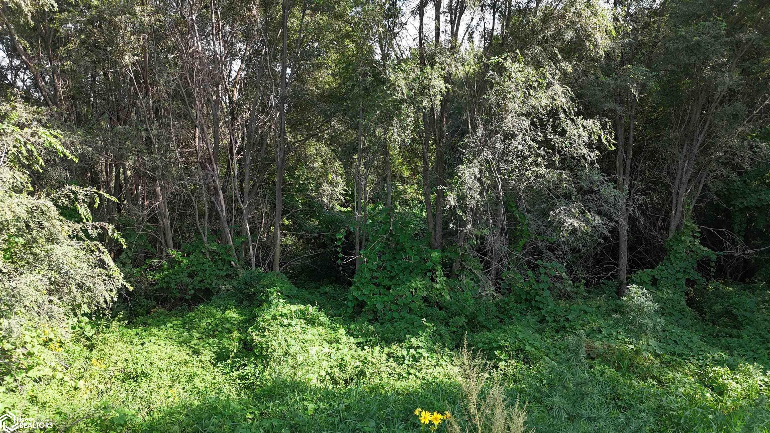 Hogback Bridge Road Winterset, IA 50273 - Photo 12 of 27 Gallery Image 12