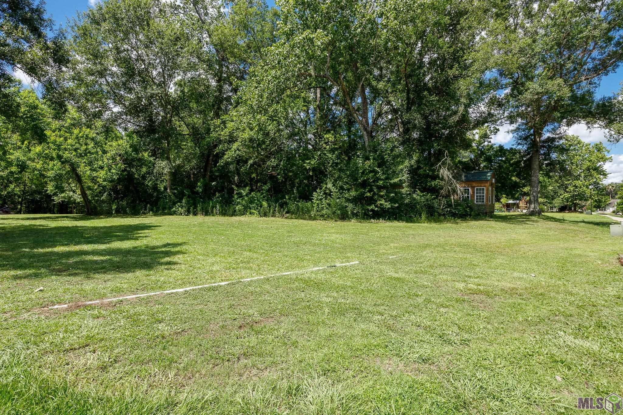 21054 Diversion Canal Road St. Amant, LA 70774 - Photo 37 of 48 Open Lot across the Golf Cart Path!