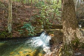 37 Petit Ridge Drive Big Canoe, GA 30143 - Photo 22 of 28