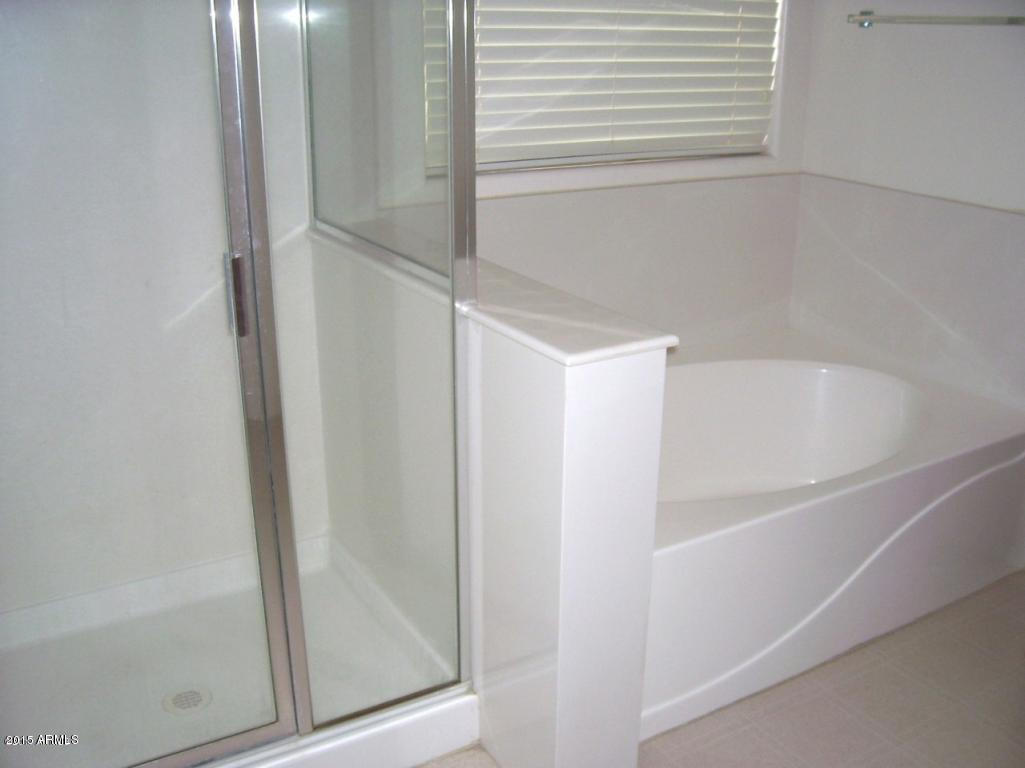 13643 West Calavar Road Surprise, AZ 85379 - Photo 9 of 17 Full Master Bath