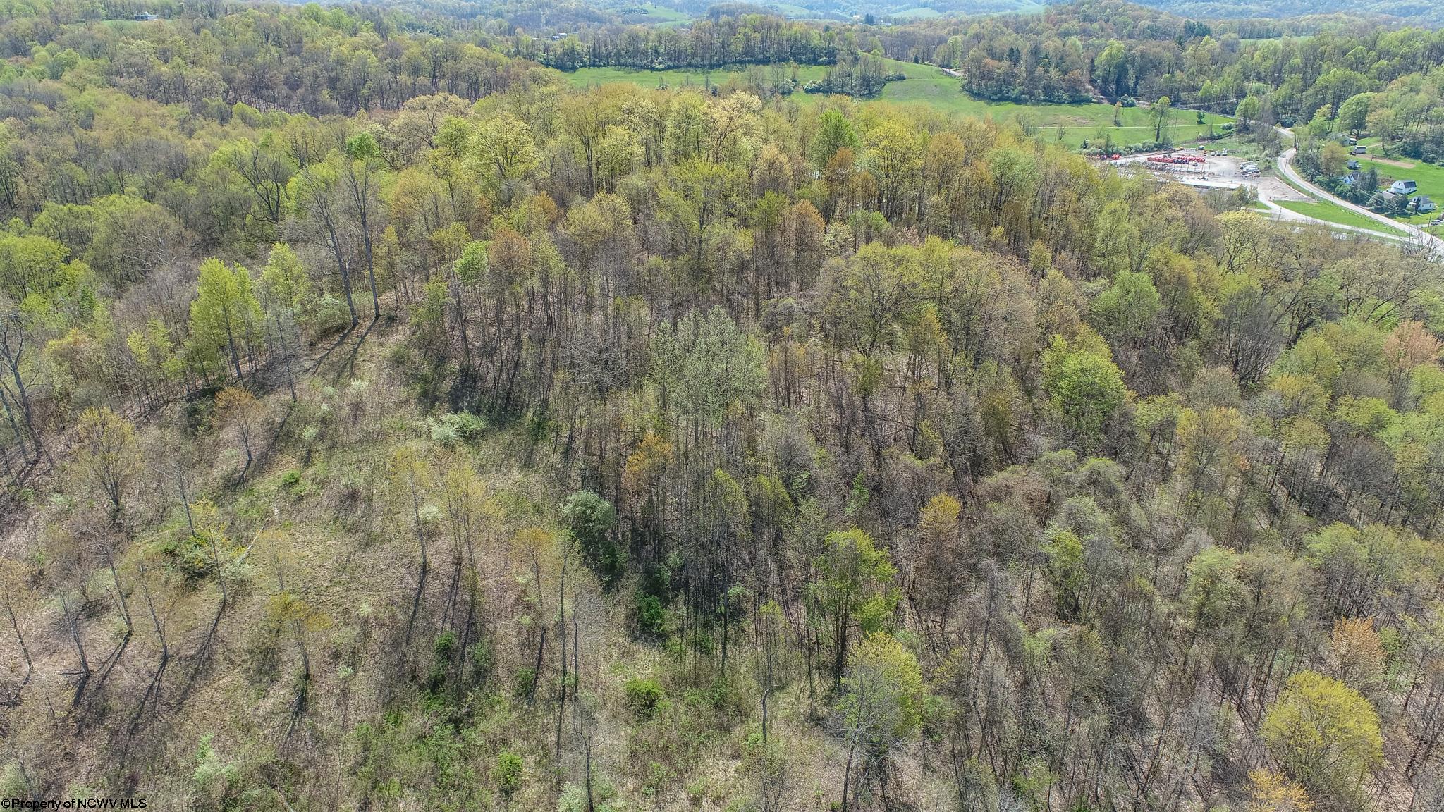 Tbd Benedum Run Road Bridgeport, WV 26330 - Photo 22 of 42 Gallery Image 22