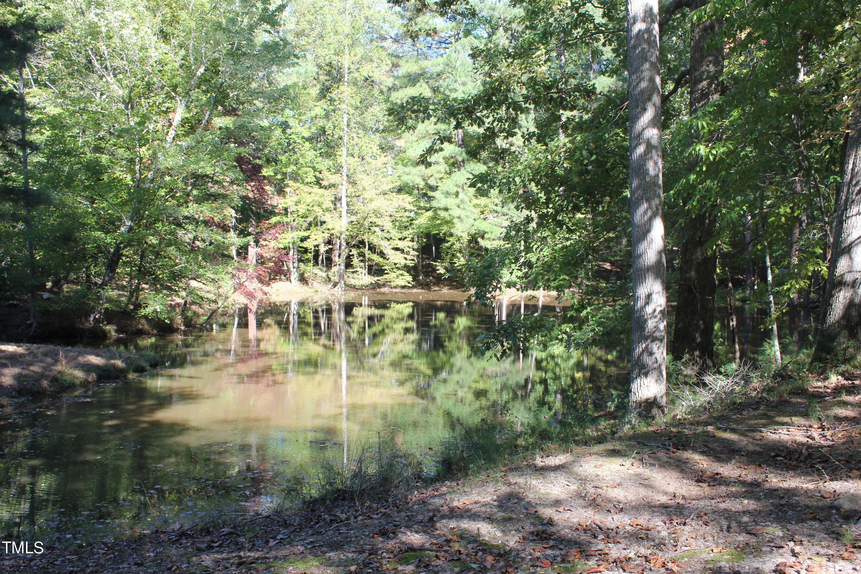 6300 Swallow Cove Lane Raleigh, NC 27614 - Photo 61 of 67 IMG_5376