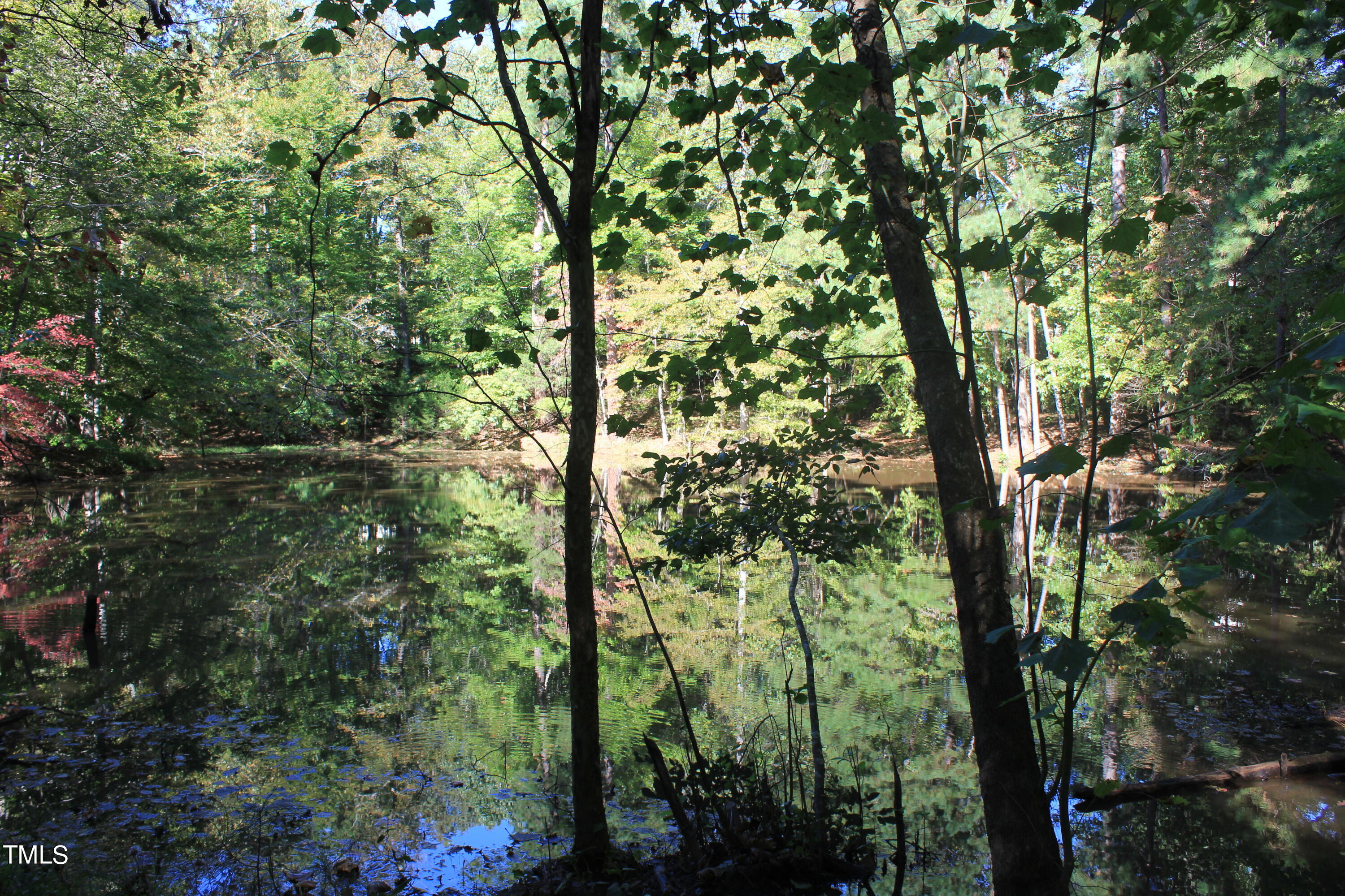 6300 Swallow Cove Lane Raleigh, NC 27614 - Photo 62 of 67 IMG_5380