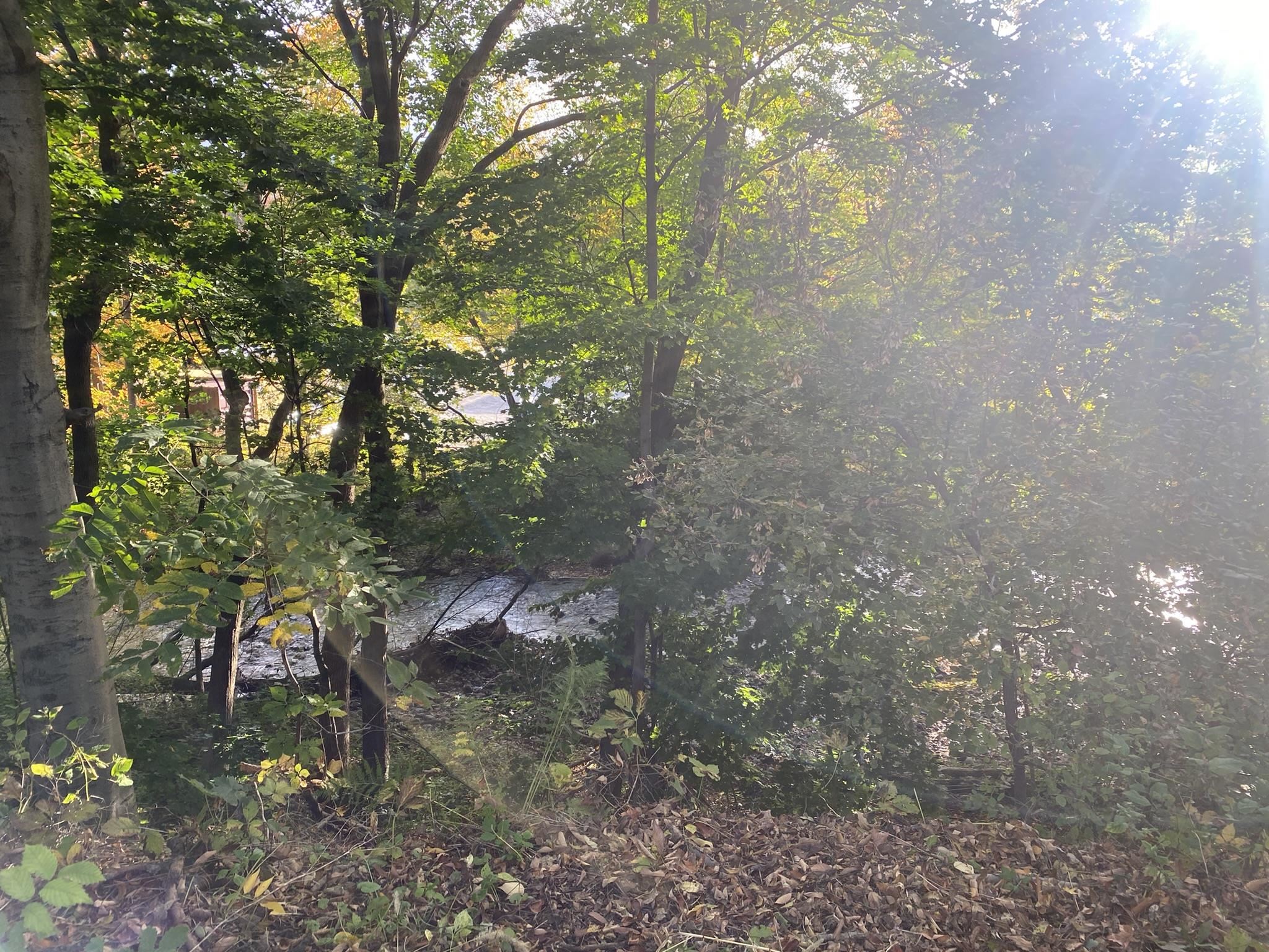 14 Robinson Avenue Bennington, VT 05201 - Photo 7 of 19