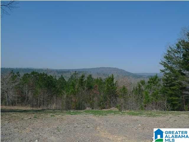 47762 Highway 25 Sterrett, AL 35147 - Photo 1 of 1