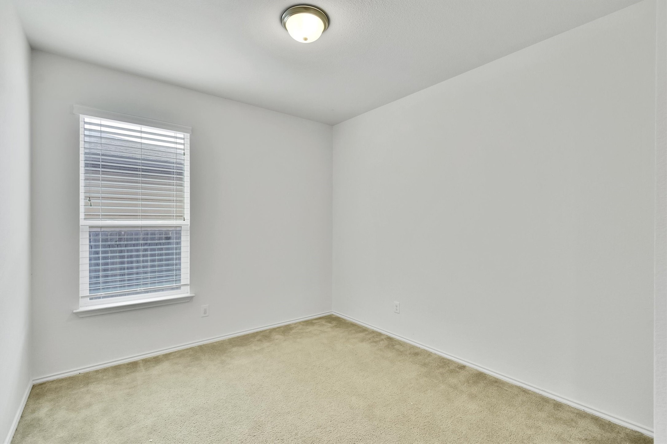 8084 Gato Lane Round Rock, TX 78665 - Photo 18 of 27