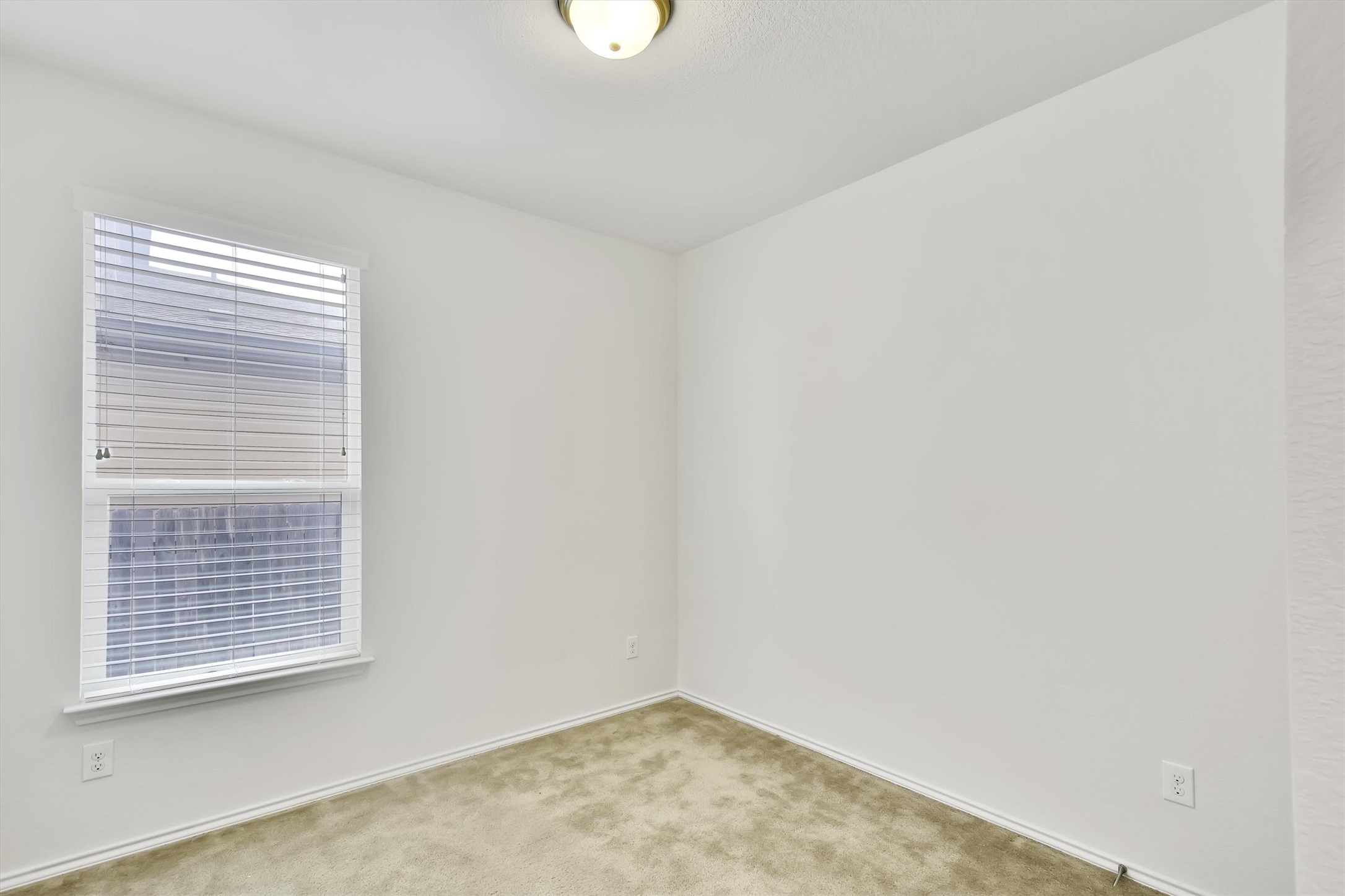 8084 Gato Lane Round Rock, TX 78665 - Photo 20 of 27