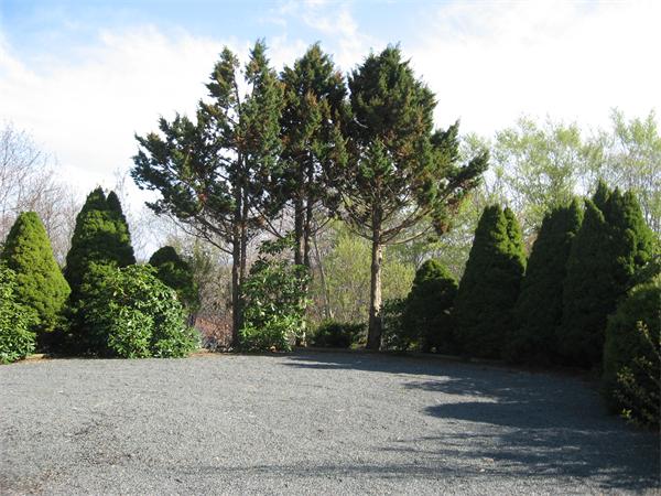 25 Starknaught Heights Gloucester, MA 01930 - Photo 2 of 10 a view of a garden