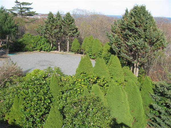 25 Starknaught Heights Gloucester, MA 01930 - Photo 3 of 10