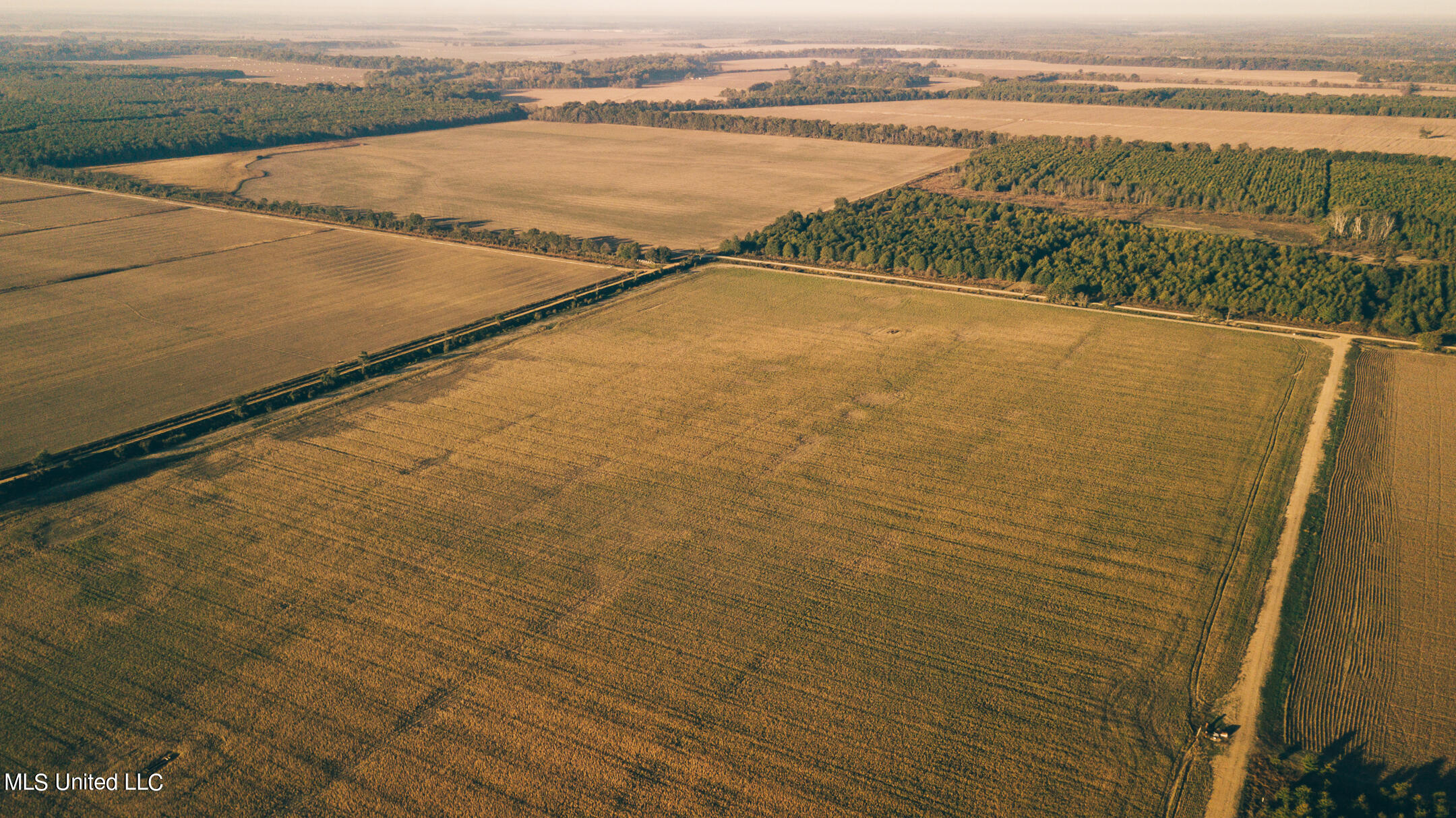 Cook Road Road Lambert, MS 38643 - Photo 10 of 17 82 quitman true-14