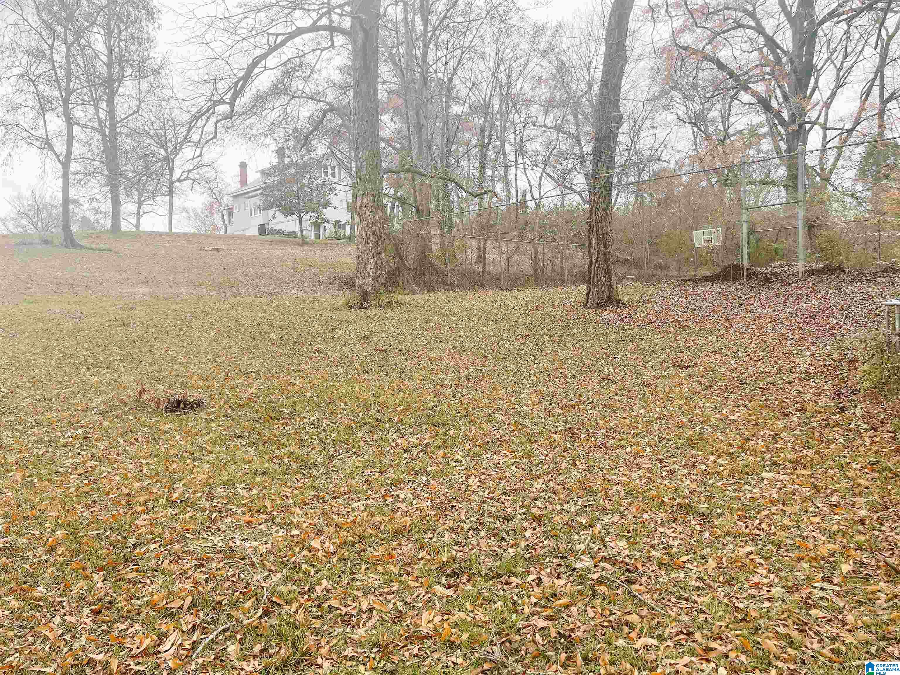 905 1st Avenue Ragland, AL 35131 - Photo 6 of 38