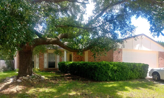 a view of a house with brick walls plants and large tree