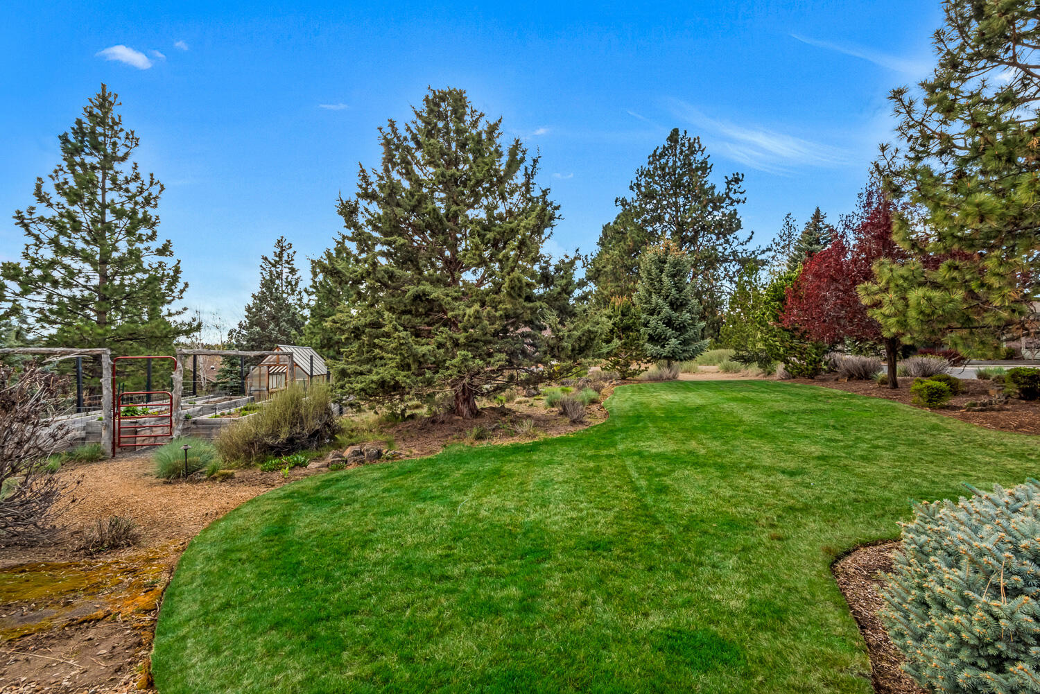 61510 Southwest Longview Street Bend, OR 97702 - Photo 37 of 43 a view of a yard with a tree