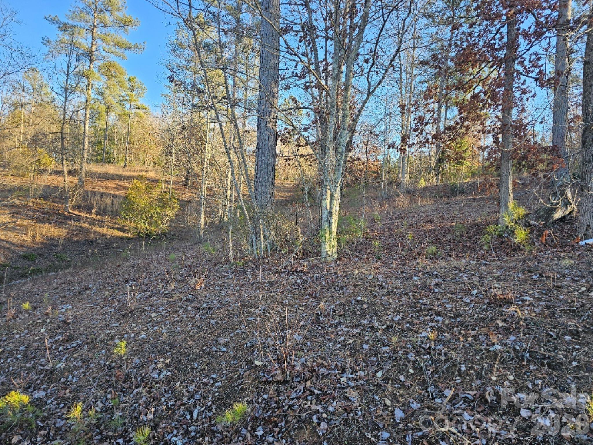 2167 Inlt Shr Road Northeast Connelly Springs, NC 28612 - Photo 2 of 15 a view of a yard with lots of green space