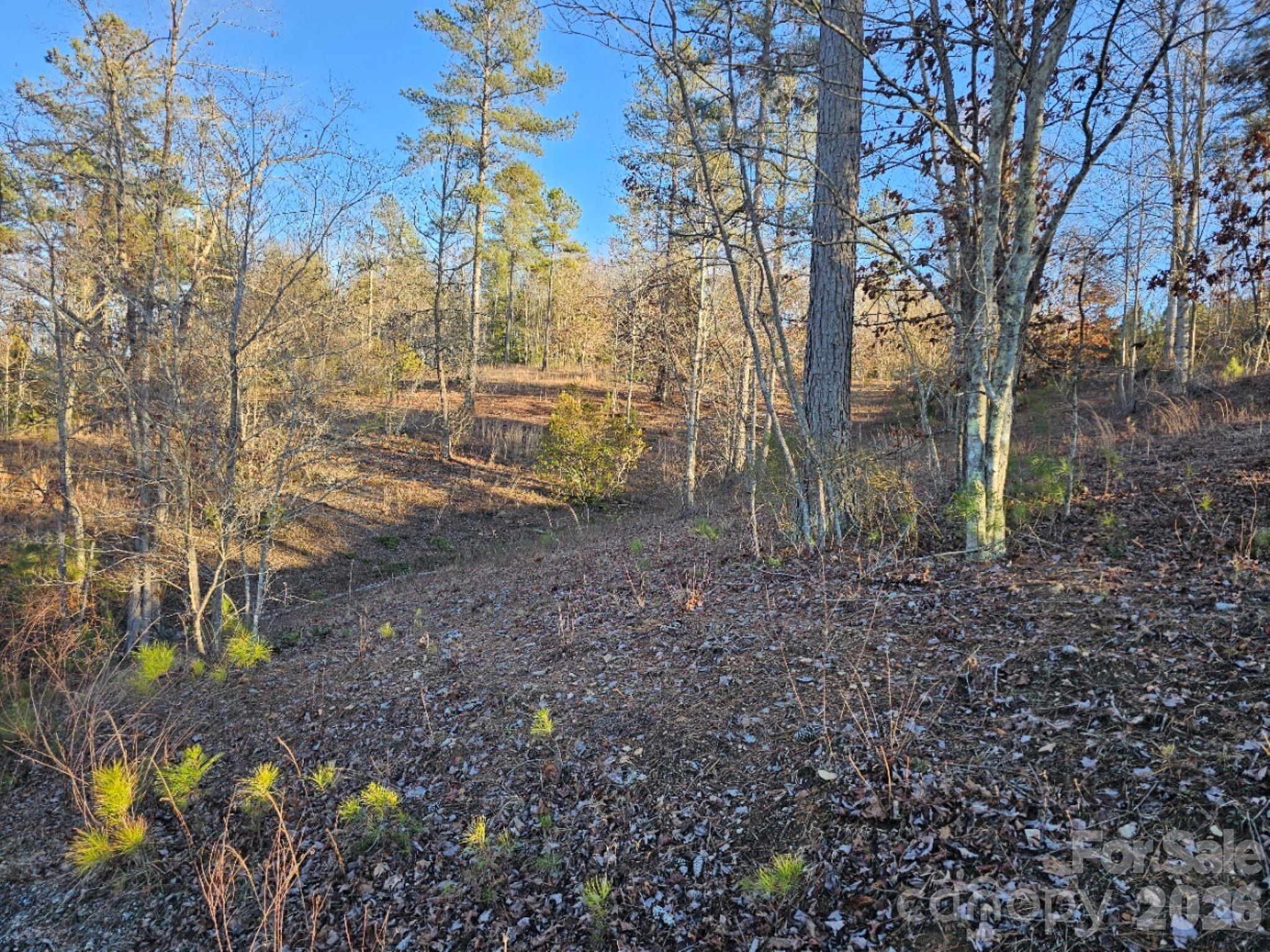 2167 Inlt Shr Road Northeast Connelly Springs, NC 28612 - Photo 3 of 15 a backyard of a house with lots of green space