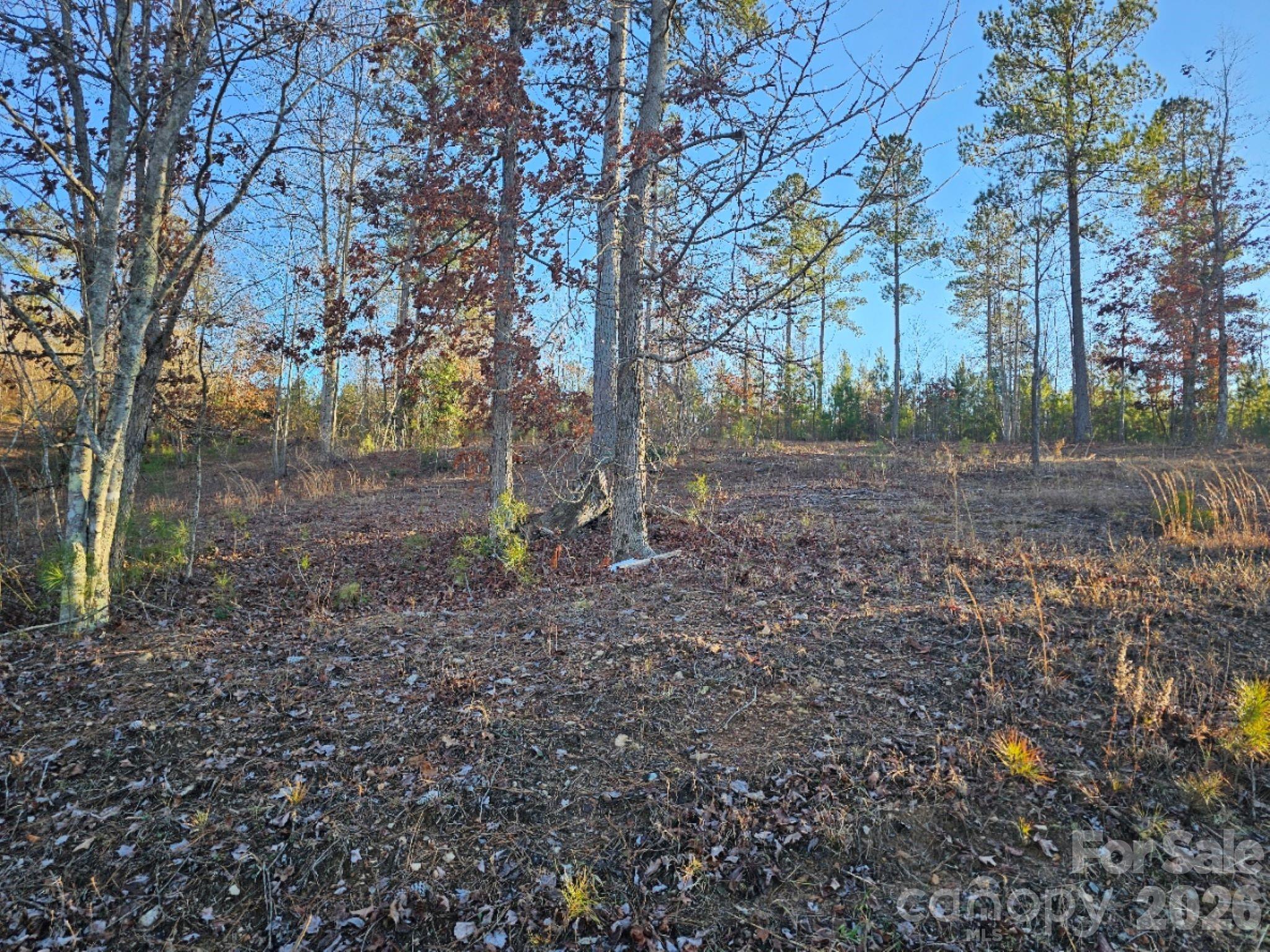 2167 Inlt Shr Road Northeast Connelly Springs, NC 28612 - Photo 4 of 15 a view of a yard with trees