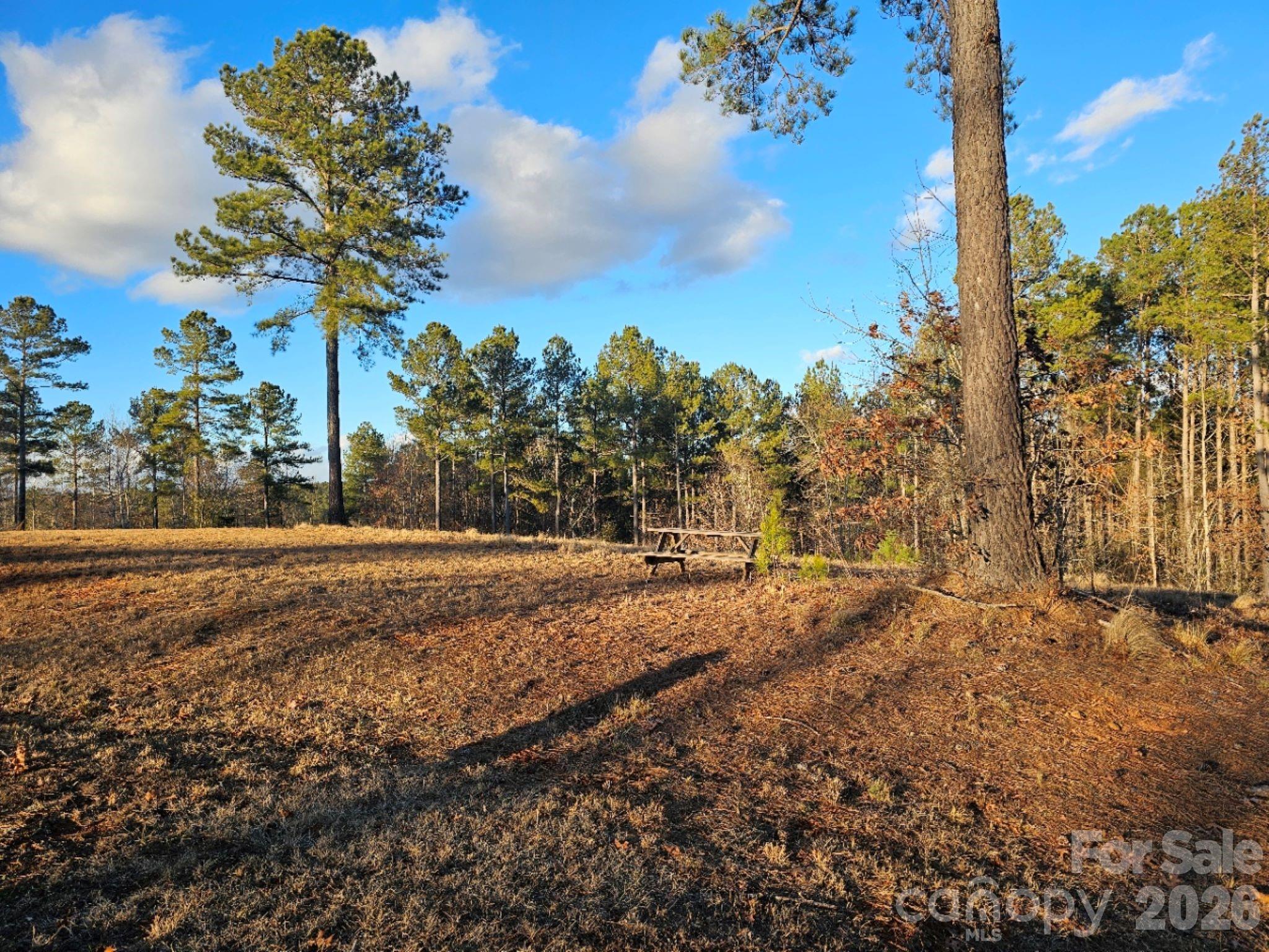 2167 Inlt Shr Road Northeast Connelly Springs, NC 28612 - Photo 6 of 15 a view of a yard with plants and trees