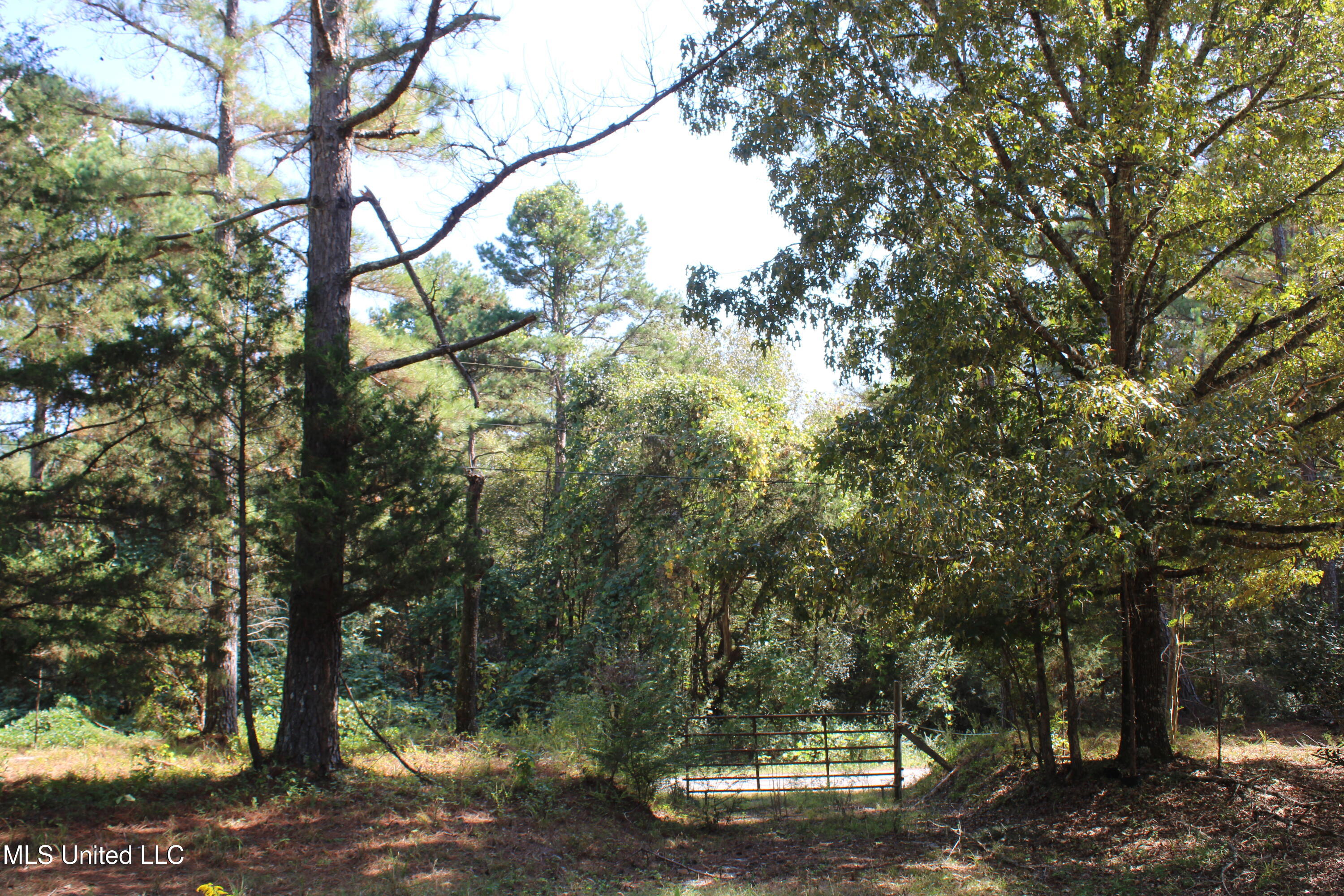 1540 Robert Ford Road Waterford, MS 38685 - Photo 17 of 32 IMG_6696