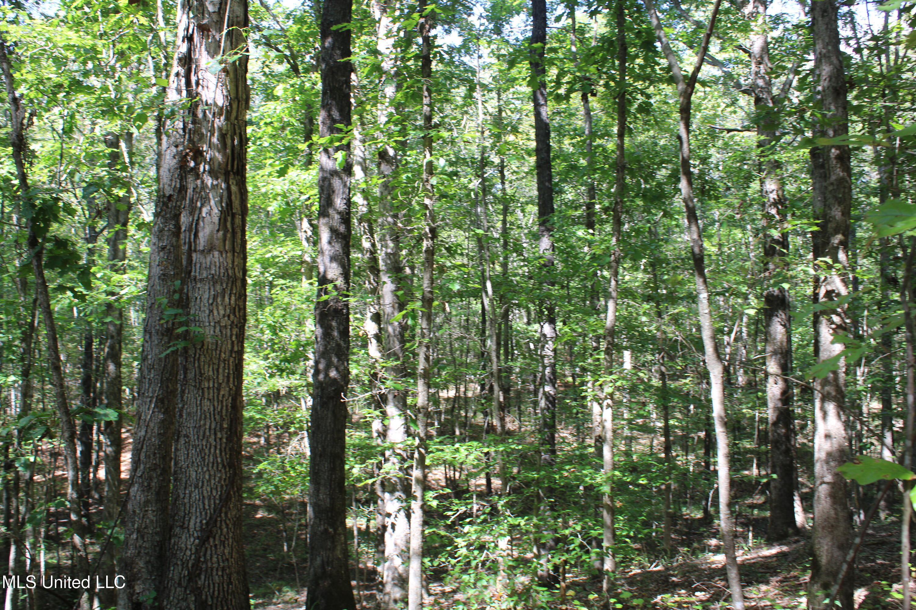 1540 Robert Ford Road Waterford, MS 38685 - Photo 18 of 32 IMG_6703