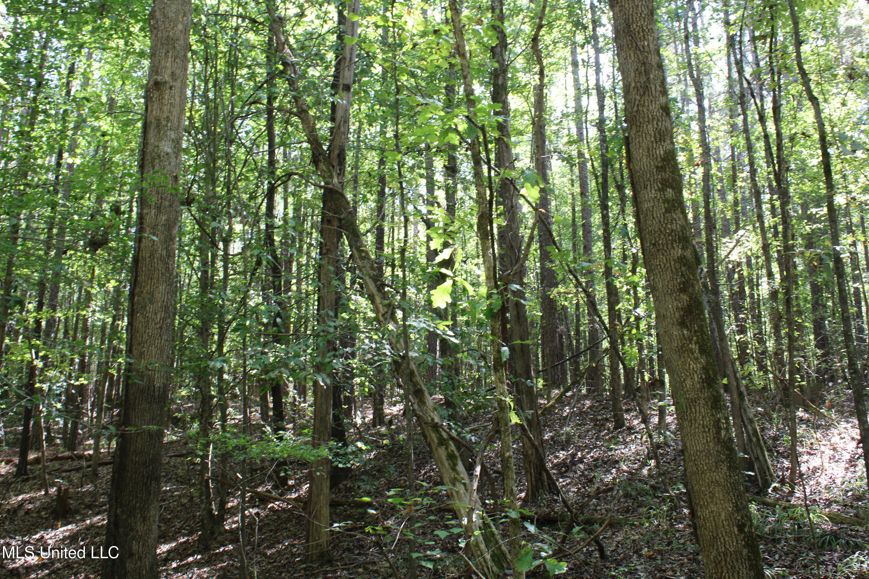 1540 Robert Ford Road Waterford, MS 38685 - Photo 19 of 32 IMG_6708