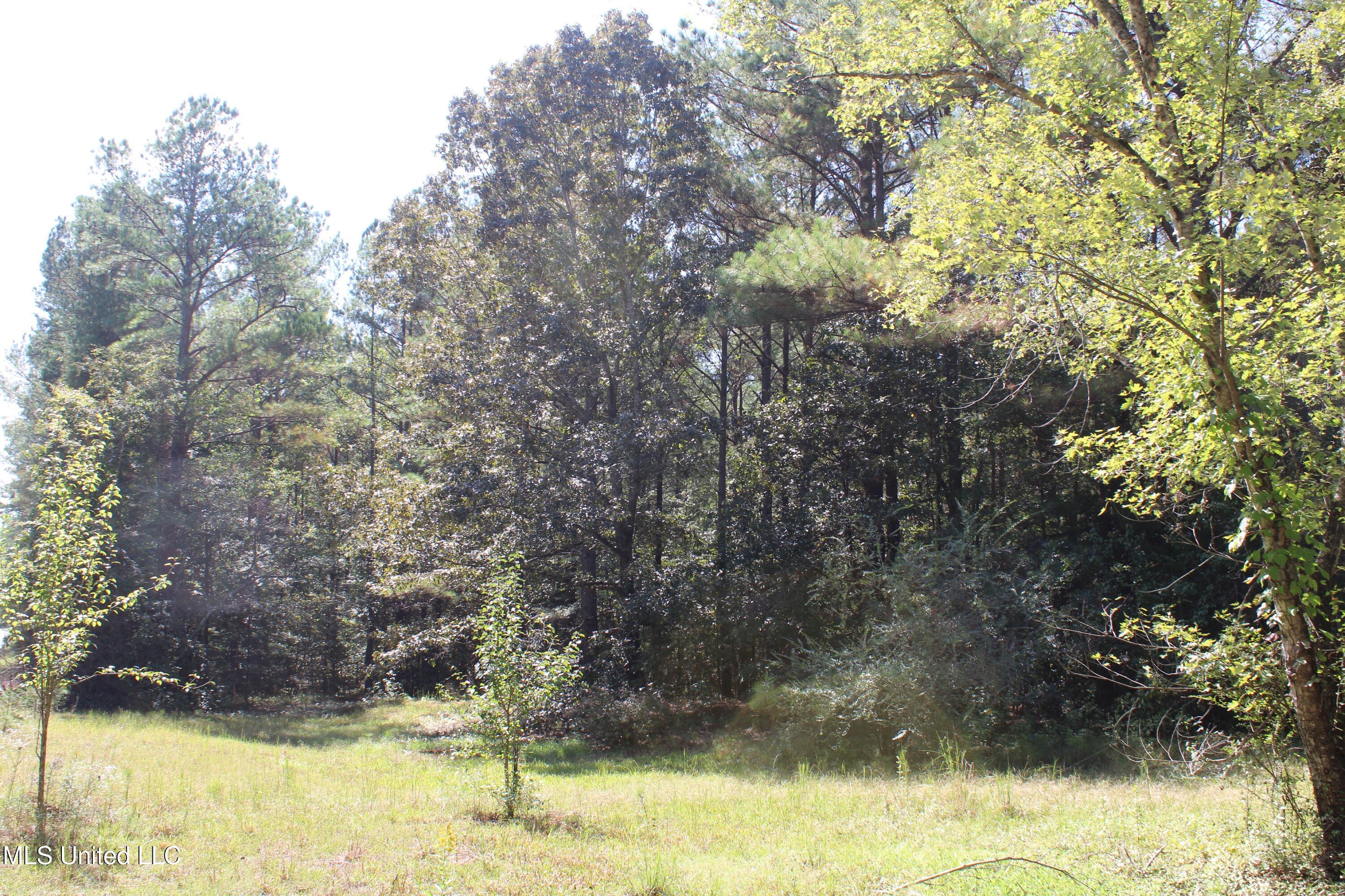 1540 Robert Ford Road Waterford, MS 38685 - Photo 21 of 32 IMG_6697