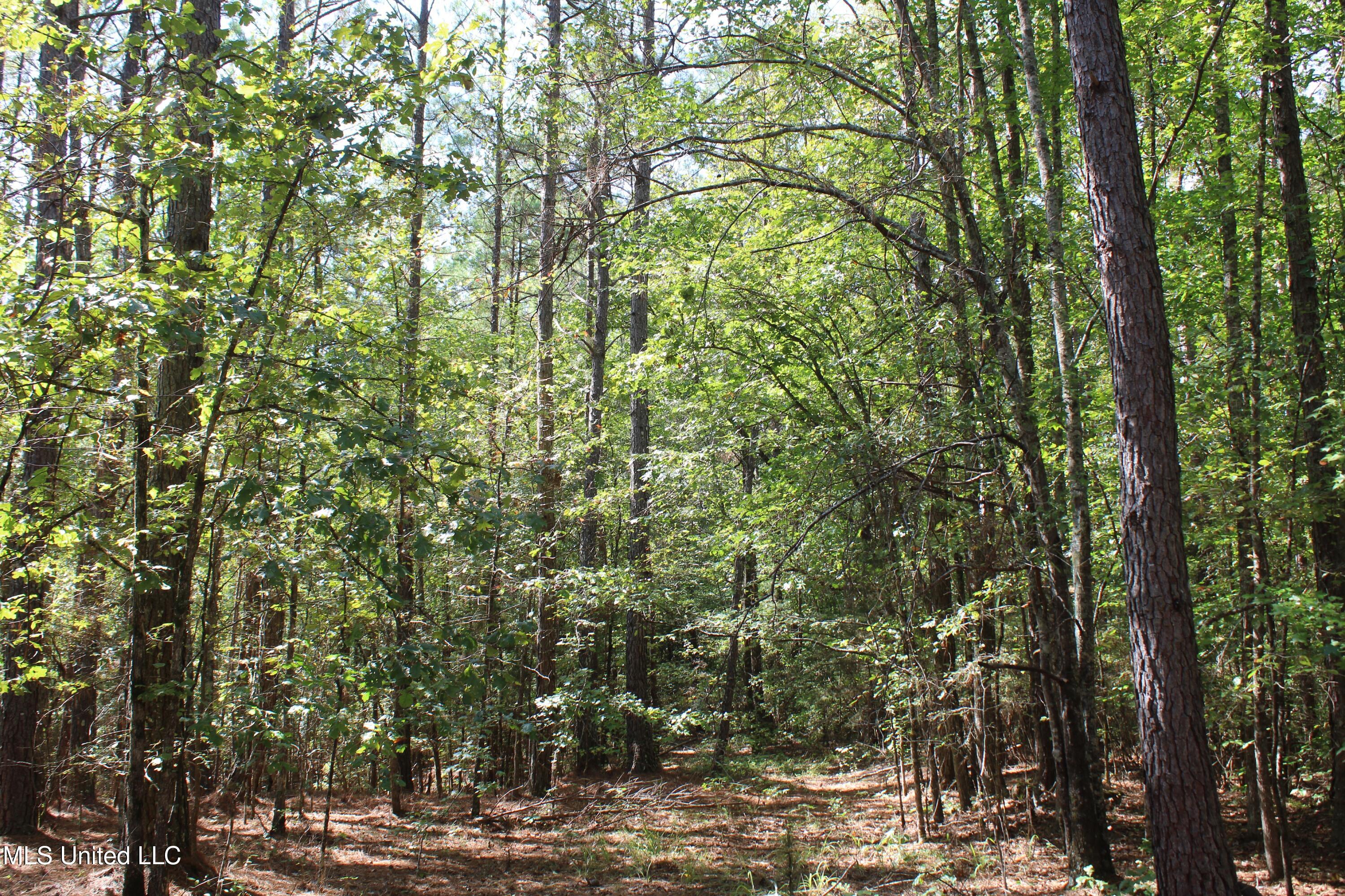 1540 Robert Ford Road Waterford, MS 38685 - Photo 24 of 32 IMG_6700