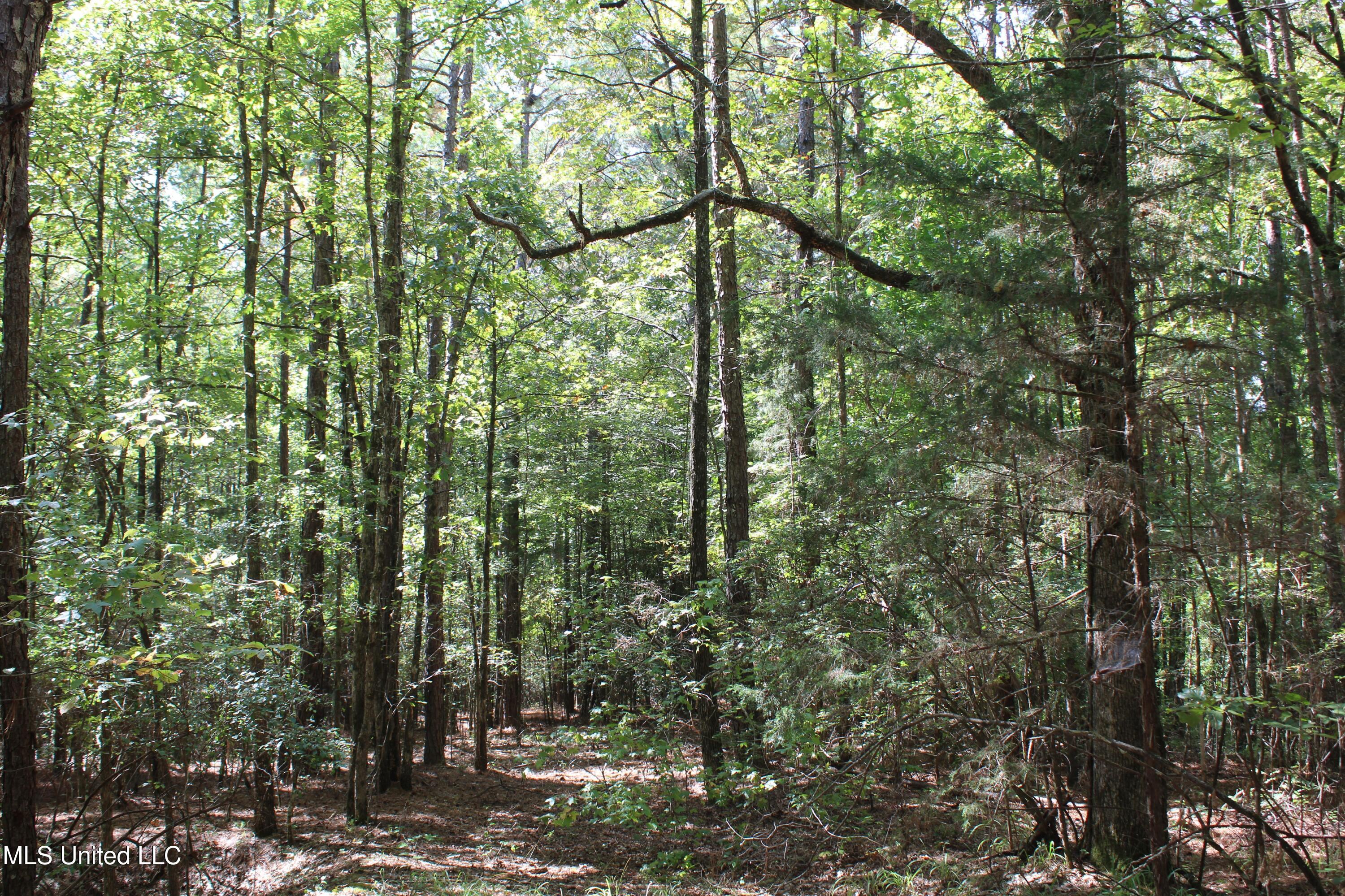 1540 Robert Ford Road Waterford, MS 38685 - Photo 25 of 32 IMG_6701