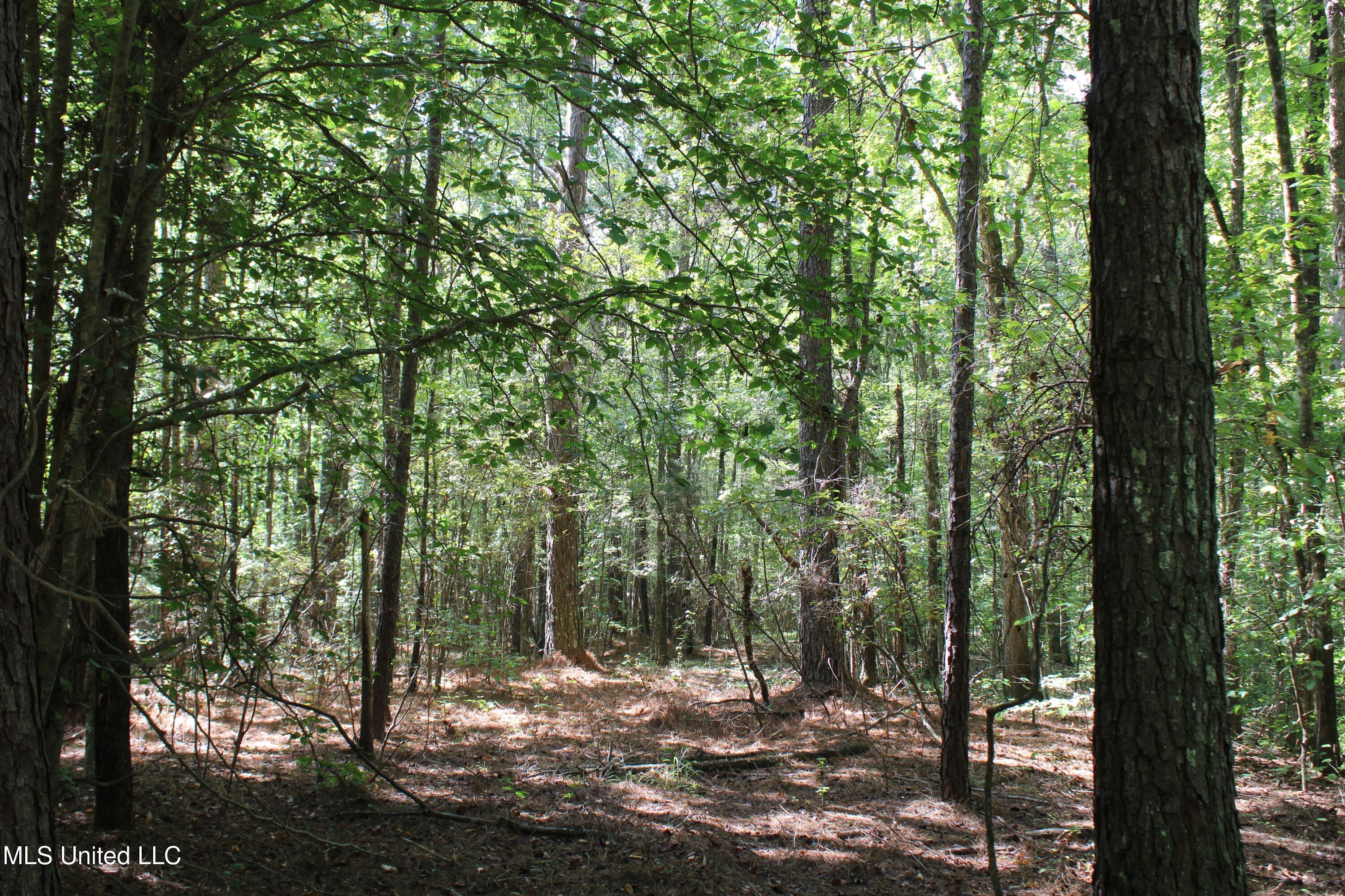 1540 Robert Ford Road Waterford, MS 38685 - Photo 26 of 32 IMG_6702