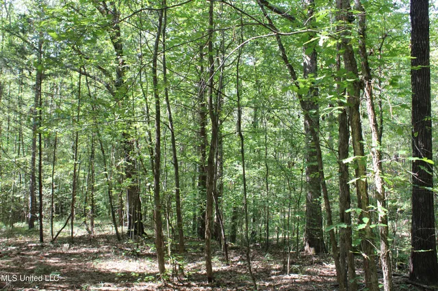 $175,000 | 1540 Robert Ford Road, Waterford, MS 38685