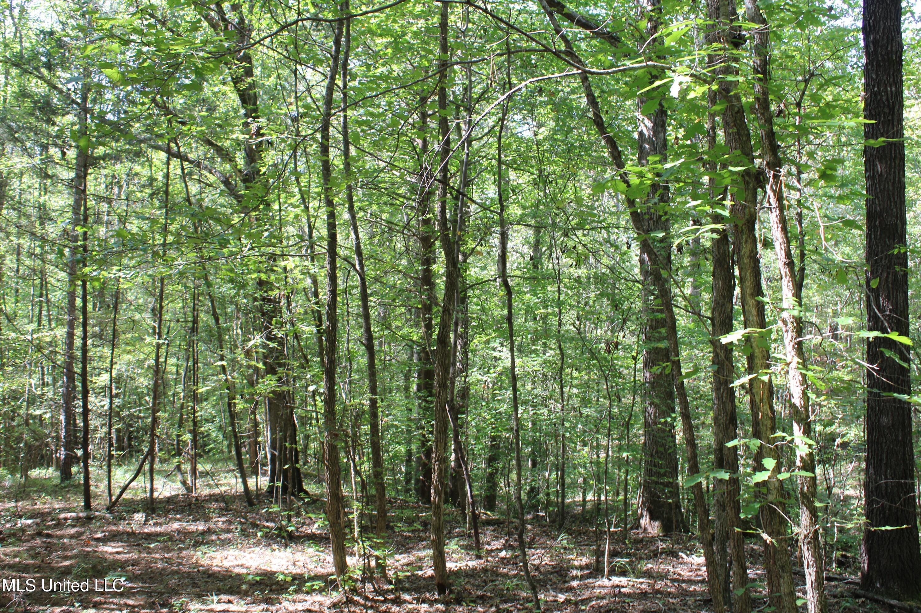 1540 Robert Ford Road Waterford, MS 38685 - Photo 27 of 32 IMG_6704