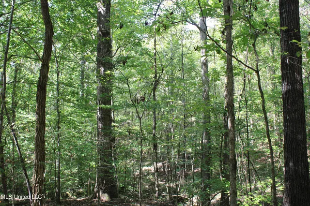 $175,000 | 1540 Robert Ford Road, Waterford, MS 38685