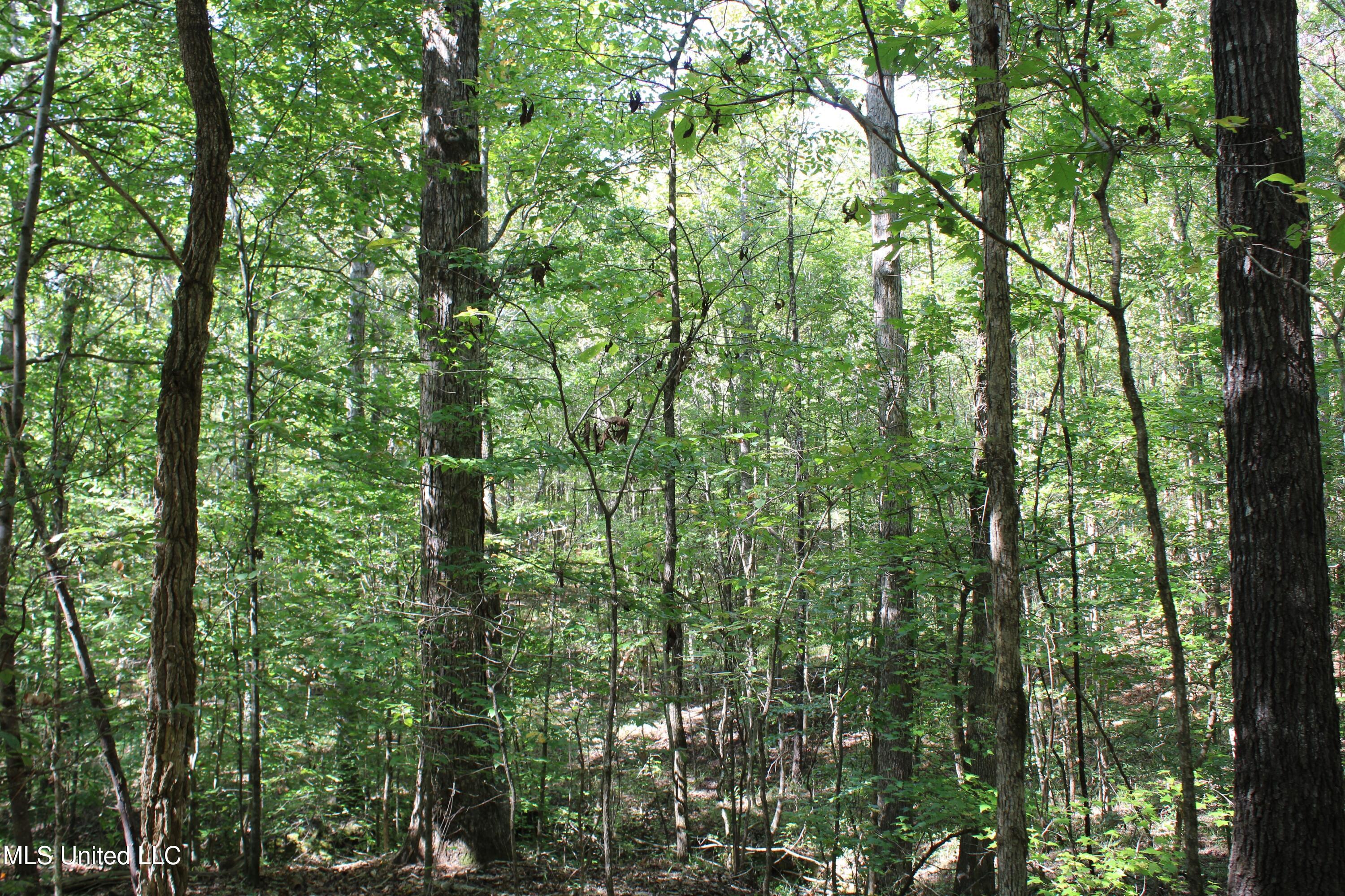 1540 Robert Ford Road Waterford, MS 38685 - Photo 28 of 32 IMG_6705