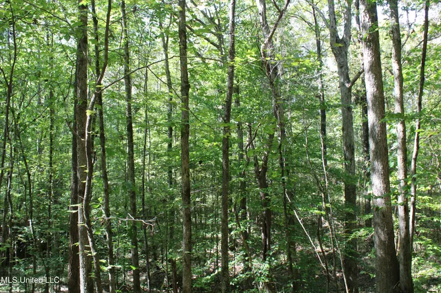 $175,000 | 1540 Robert Ford Road, Waterford, MS 38685