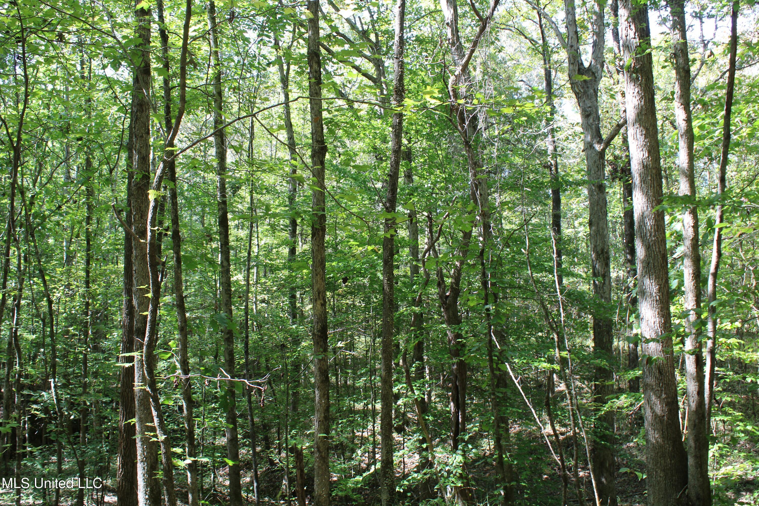 1540 Robert Ford Road Waterford, MS 38685 - Photo 29 of 32 IMG_6706