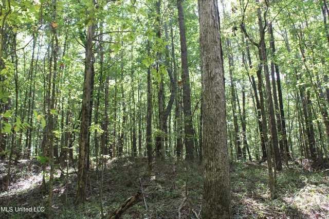 $175,000 | 1540 Robert Ford Road, Waterford, MS 38685