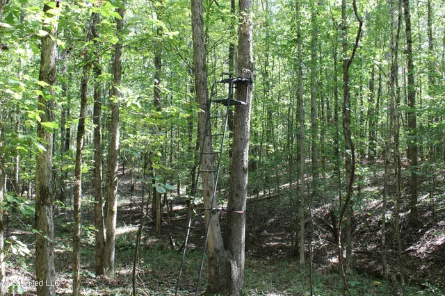 $175,000 | 1540 Robert Ford Road, Waterford, MS 38685