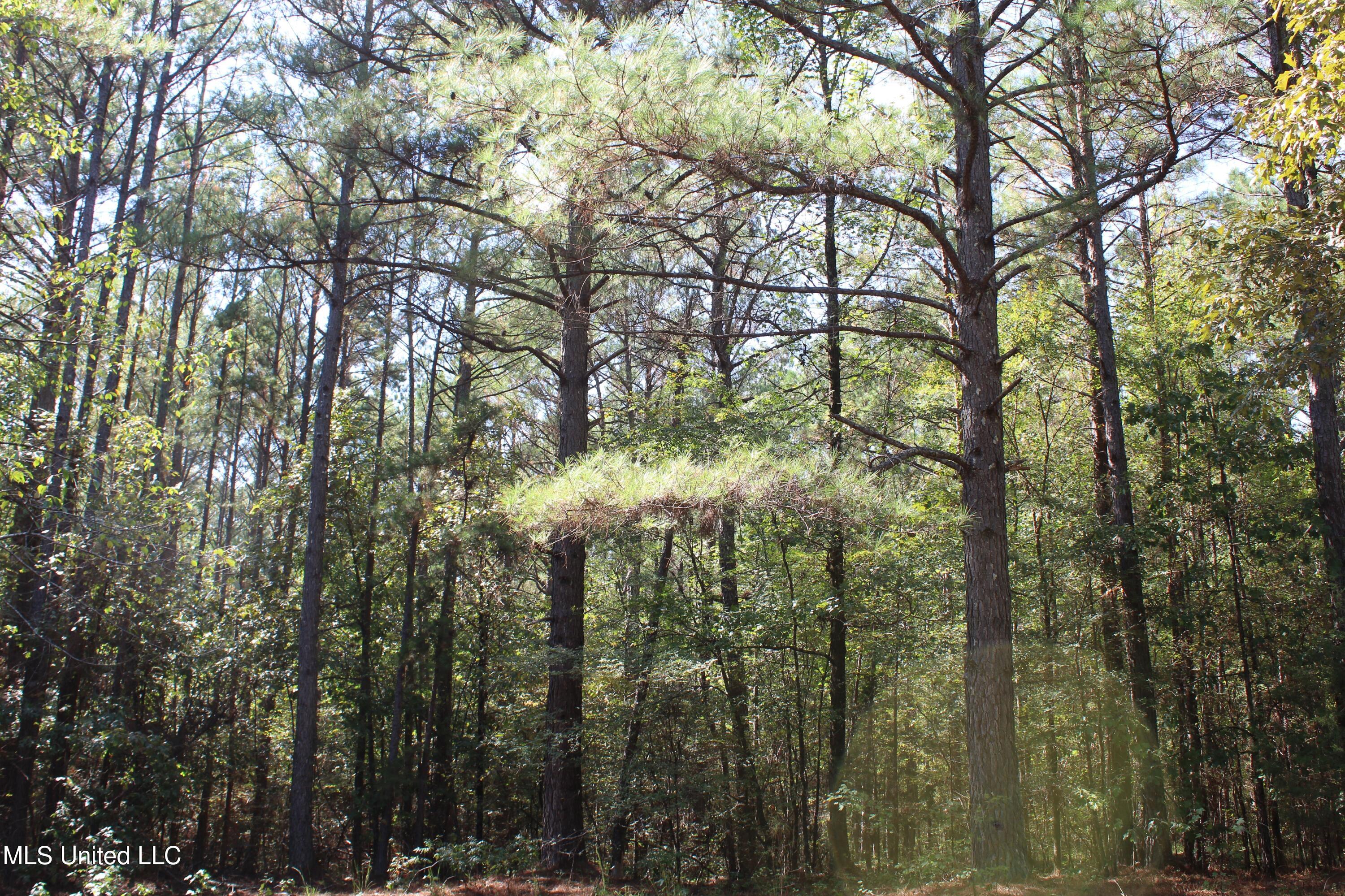 1540 Robert Ford Road Waterford, MS 38685 - Photo 32 of 32 IMG_6710