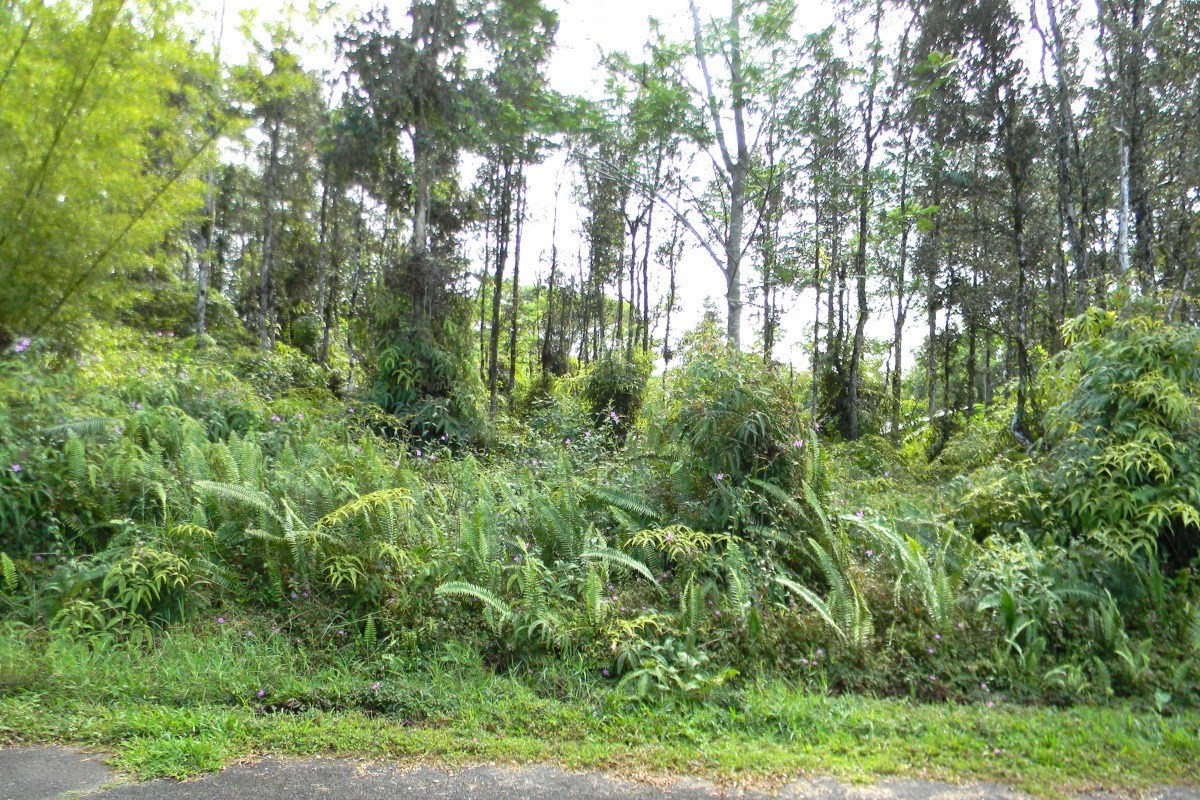 1041 Church Road Pahoa, HI 96778 - Photo 1 of 3 Gallery Image 1