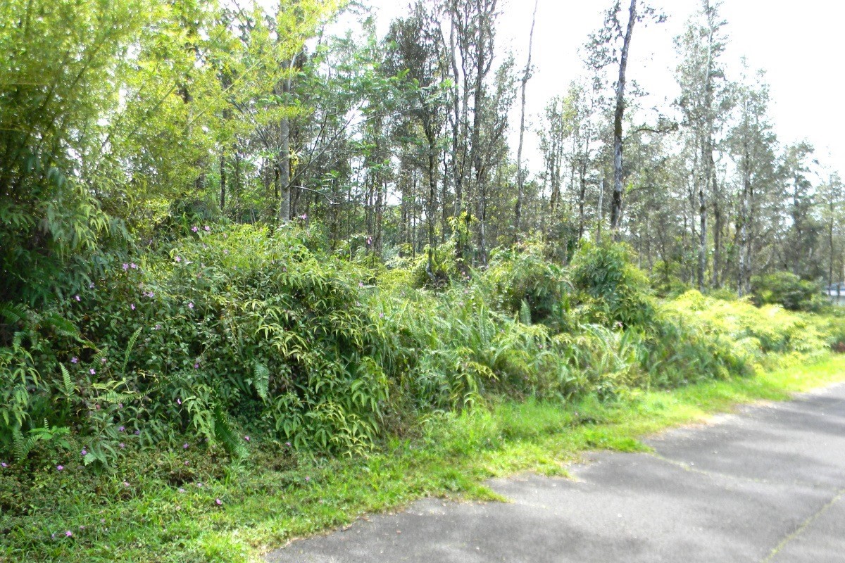 1041 Church Road Pahoa, HI 96778 - Photo 2 of 3 Gallery Image 2